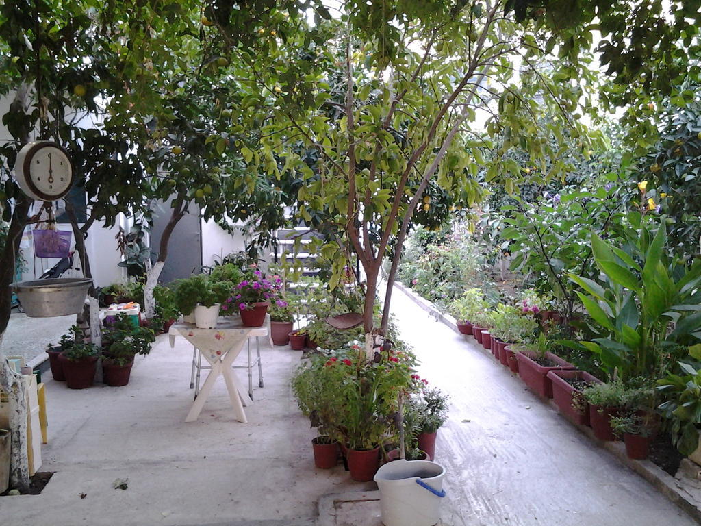 Studios Maro Skala Kallonis Exterior photo